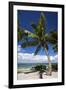 Beautiful Beaches of Alphonse Island, Seychelles-Matt Jones-Framed Photographic Print