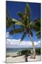 Beautiful Beaches of Alphonse Island, Seychelles-Matt Jones-Mounted Photographic Print