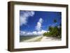 Beautiful Beaches of Alphonse Island, Seychelles-Matt Jones-Framed Photographic Print