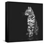 Beautiful Bengal Cat-Svetlana Mandrikova-Framed Stretched Canvas