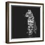 Beautiful Bengal Cat-Svetlana Mandrikova-Framed Photographic Print