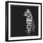 Beautiful Bengal Cat-Svetlana Mandrikova-Framed Photographic Print