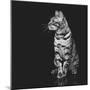 Beautiful Bengal Cat-Svetlana Mandrikova-Mounted Photographic Print