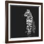 Beautiful Bengal Cat-Svetlana Mandrikova-Framed Photographic Print