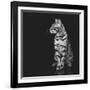 Beautiful Bengal Cat-Svetlana Mandrikova-Framed Photographic Print