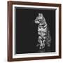 Beautiful Bengal Cat-Svetlana Mandrikova-Framed Photographic Print