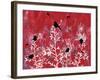 Beautiful Black Birds-Bee Sturgis-Framed Art Print