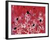 Beautiful Black Birds-Bee Sturgis-Framed Art Print