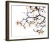 Beautiful Blossom-Irene Suchocki-Framed Giclee Print