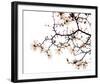 Beautiful Blossom-Irene Suchocki-Framed Giclee Print