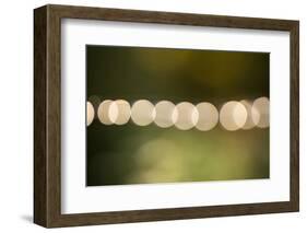 Beautiful bokeh, nature light with green background-Paivi Vikstrom-Framed Photographic Print