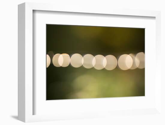 Beautiful bokeh, nature light with green background-Paivi Vikstrom-Framed Photographic Print