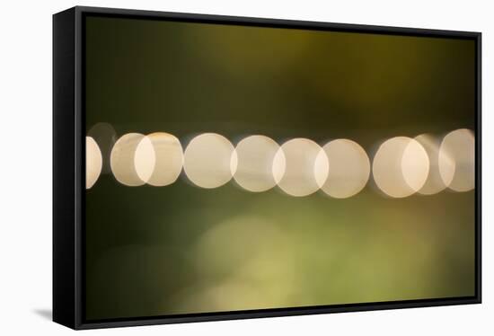 Beautiful bokeh, nature light with green background-Paivi Vikstrom-Framed Stretched Canvas