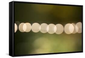 Beautiful bokeh, nature light with green background-Paivi Vikstrom-Framed Stretched Canvas