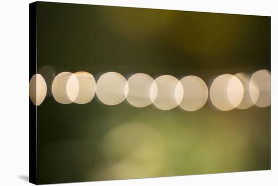 Beautiful bokeh, nature light with green background-Paivi Vikstrom-Stretched Canvas