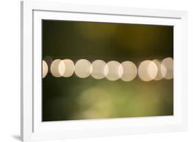 Beautiful bokeh, nature light with green background-Paivi Vikstrom-Framed Photographic Print