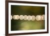 Beautiful bokeh, nature light with green background-Paivi Vikstrom-Framed Photographic Print