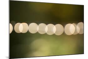 Beautiful bokeh, nature light with green background-Paivi Vikstrom-Mounted Photographic Print