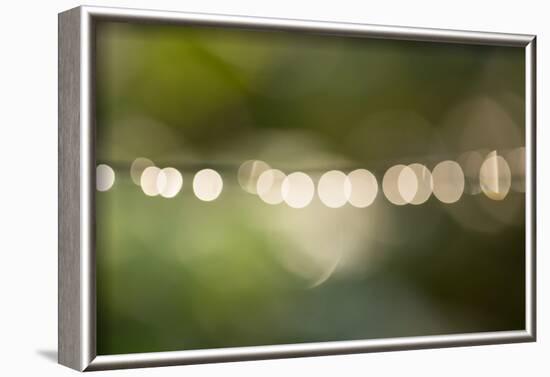 Beautiful bokeh, nature light with green background-Paivi Vikstrom-Framed Photographic Print