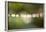 Beautiful bokeh, nature light with green background-Paivi Vikstrom-Framed Photographic Print