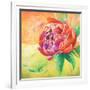 Beautiful Bouquet of Peonies II-Patricia Pinto-Framed Art Print