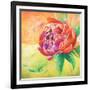 Beautiful Bouquet of Peonies II-Patricia Pinto-Framed Art Print