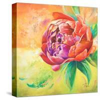 Beautiful Bouquet of Peonies II-Patricia Pinto-Stretched Canvas