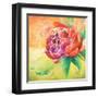 Beautiful Bouquet of Peonies II-Patricia Pinto-Framed Art Print