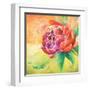 Beautiful Bouquet of Peonies II-Patricia Pinto-Framed Art Print