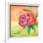 Beautiful Bouquet of Peonies II-Patricia Pinto-Framed Art Print