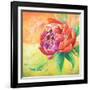 Beautiful Bouquet of Peonies II-Patricia Pinto-Framed Art Print