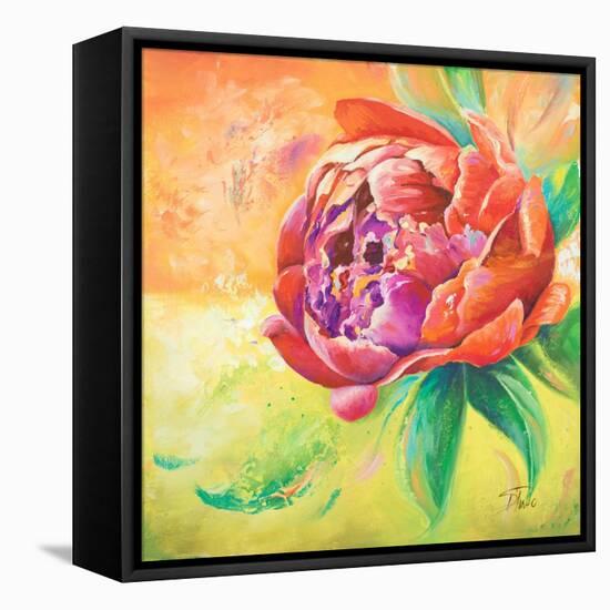 Beautiful Bouquet of Peonies II-Patricia Pinto-Framed Stretched Canvas