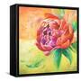 Beautiful Bouquet of Peonies II-Patricia Pinto-Framed Stretched Canvas