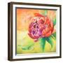 Beautiful Bouquet of Peonies II-Patricia Pinto-Framed Art Print