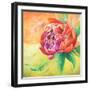 Beautiful Bouquet of Peonies II-Patricia Pinto-Framed Art Print