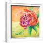 Beautiful Bouquet of Peonies II-Patricia Pinto-Framed Art Print