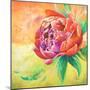 Beautiful Bouquet of Peonies II-Patricia Pinto-Mounted Art Print