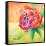 Beautiful Bouquet of Peonies II-Patricia Pinto-Framed Stretched Canvas