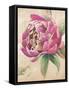 Beautiful Bouquet of Peonies in Pink II-Patricia Pinto-Framed Stretched Canvas