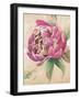 Beautiful Bouquet of Peonies in Pink II-Patricia Pinto-Framed Art Print