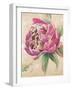 Beautiful Bouquet of Peonies in Pink II-Patricia Pinto-Framed Art Print