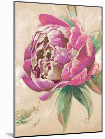 Beautiful Bouquet of Peonies in Pink II-Patricia Pinto-Mounted Art Print