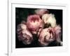 Beautiful Bouquet of Pink Rose Flowers on a Dark Background, Soft and Romantic Vintage Filter, Look-null-Framed Photographic Print