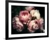 Beautiful Bouquet of Pink Rose Flowers on a Dark Background, Soft and Romantic Vintage Filter, Look-null-Framed Photographic Print