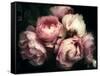 Beautiful Bouquet of Pink Rose Flowers on a Dark Background, Soft and Romantic Vintage Filter, Look-null-Framed Stretched Canvas