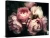 Beautiful Bouquet of Pink Rose Flowers on a Dark Background, Soft and Romantic Vintage Filter, Look-null-Stretched Canvas