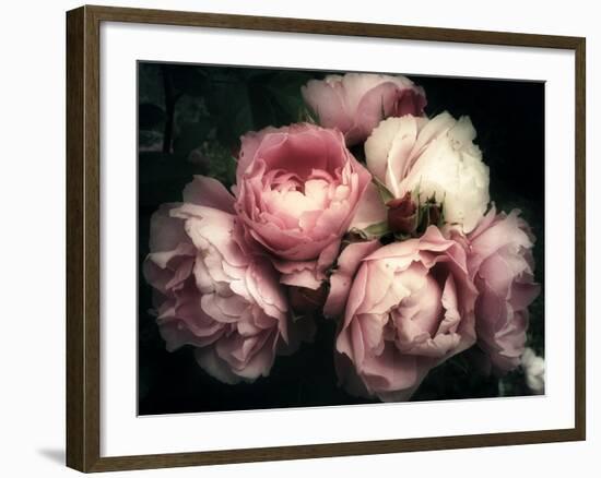 Beautiful Bouquet of Pink Rose Flowers on a Dark Background, Soft and Romantic Vintage Filter, Look-null-Framed Photographic Print