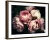 Beautiful Bouquet of Pink Rose Flowers on a Dark Background, Soft and Romantic Vintage Filter, Look-null-Framed Photographic Print