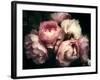 Beautiful Bouquet of Pink Rose Flowers on a Dark Background, Soft and Romantic Vintage Filter, Look-null-Framed Photographic Print