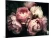 Beautiful Bouquet of Pink Rose Flowers on a Dark Background, Soft and Romantic Vintage Filter, Look-null-Mounted Photographic Print